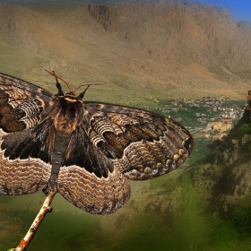 Anadolu dalga desenli dev g&uuml;ve...